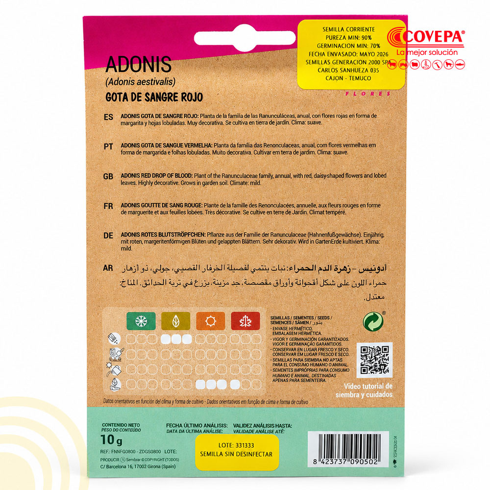 Semilla Flor Adonis Gota de Sangre Roja 10g