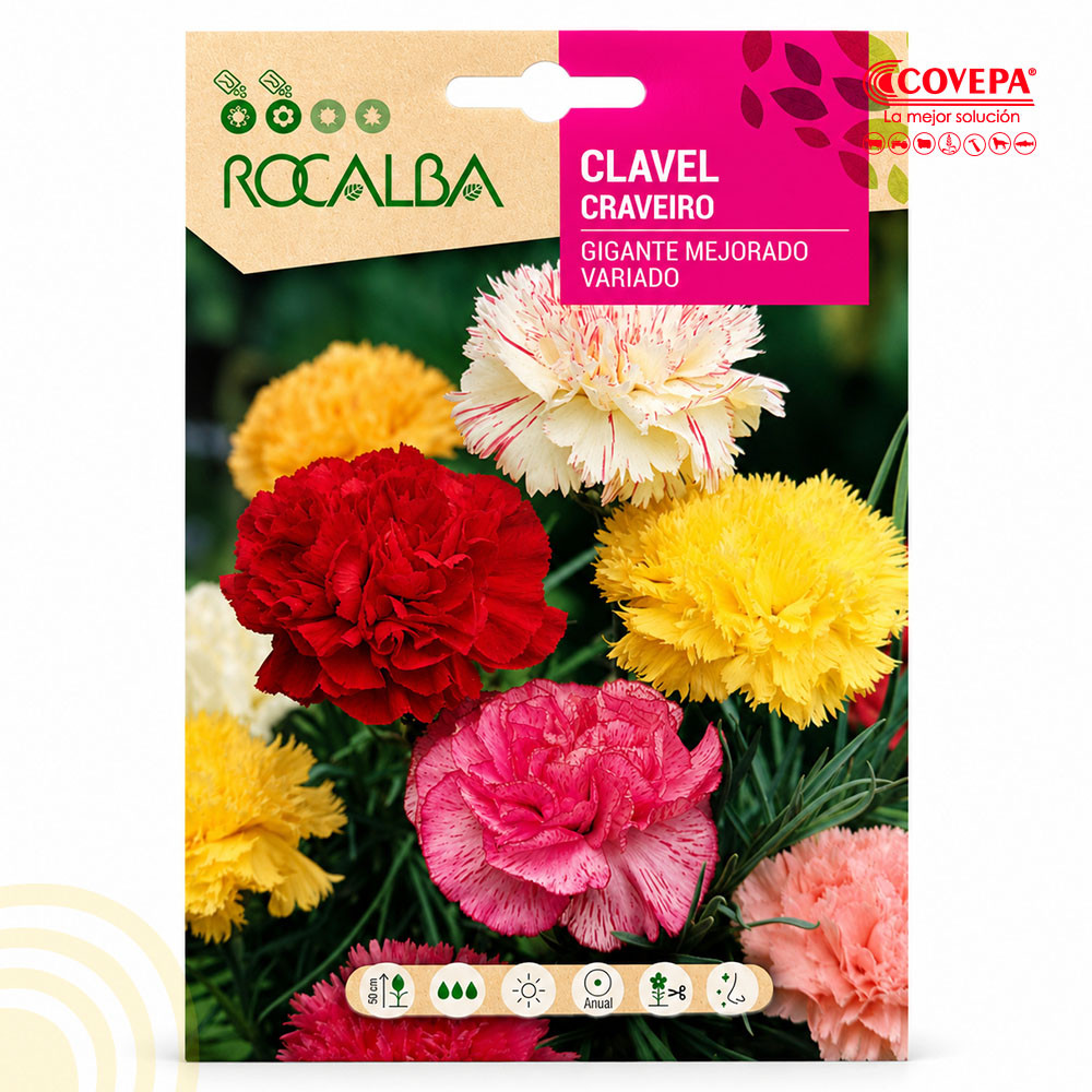 Semilla Flor Clavel Gigante Mejorado Variado 1g