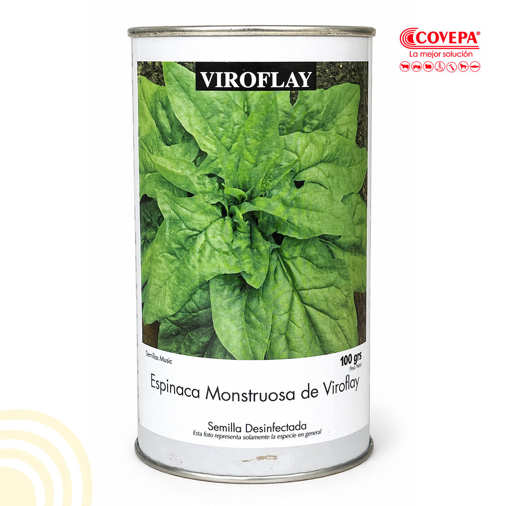 Semilla Hortaliza Espinaca Monstruosa de Viroflay Farmers Tarro 100gr