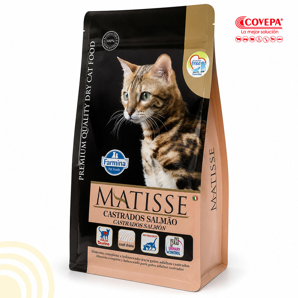 Alimento Gato Matisse 2kg Castrado Salmón