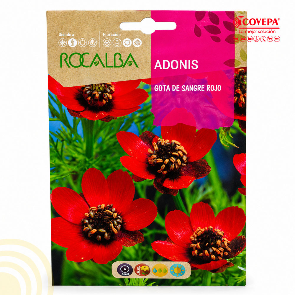 Semilla Flor Adonis Gota de Sangre Roja 10g