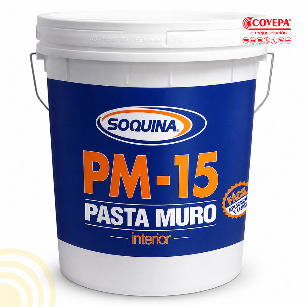 Pasta Muro PM-15 para Interior 5 Galones Soquina