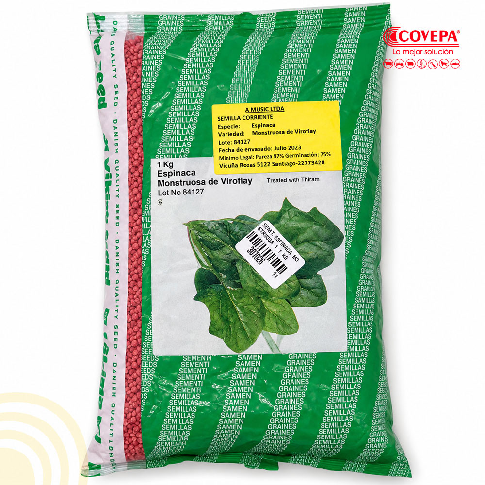 Semilla Hortaliza Espinaca Monstruosa de Viroflay Music 1kg