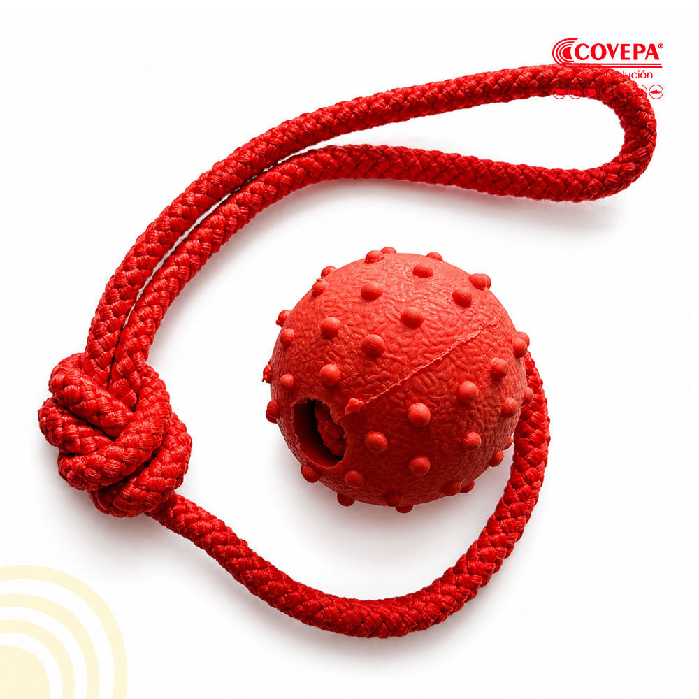 Pelota de Goma con Cuerda para Perros