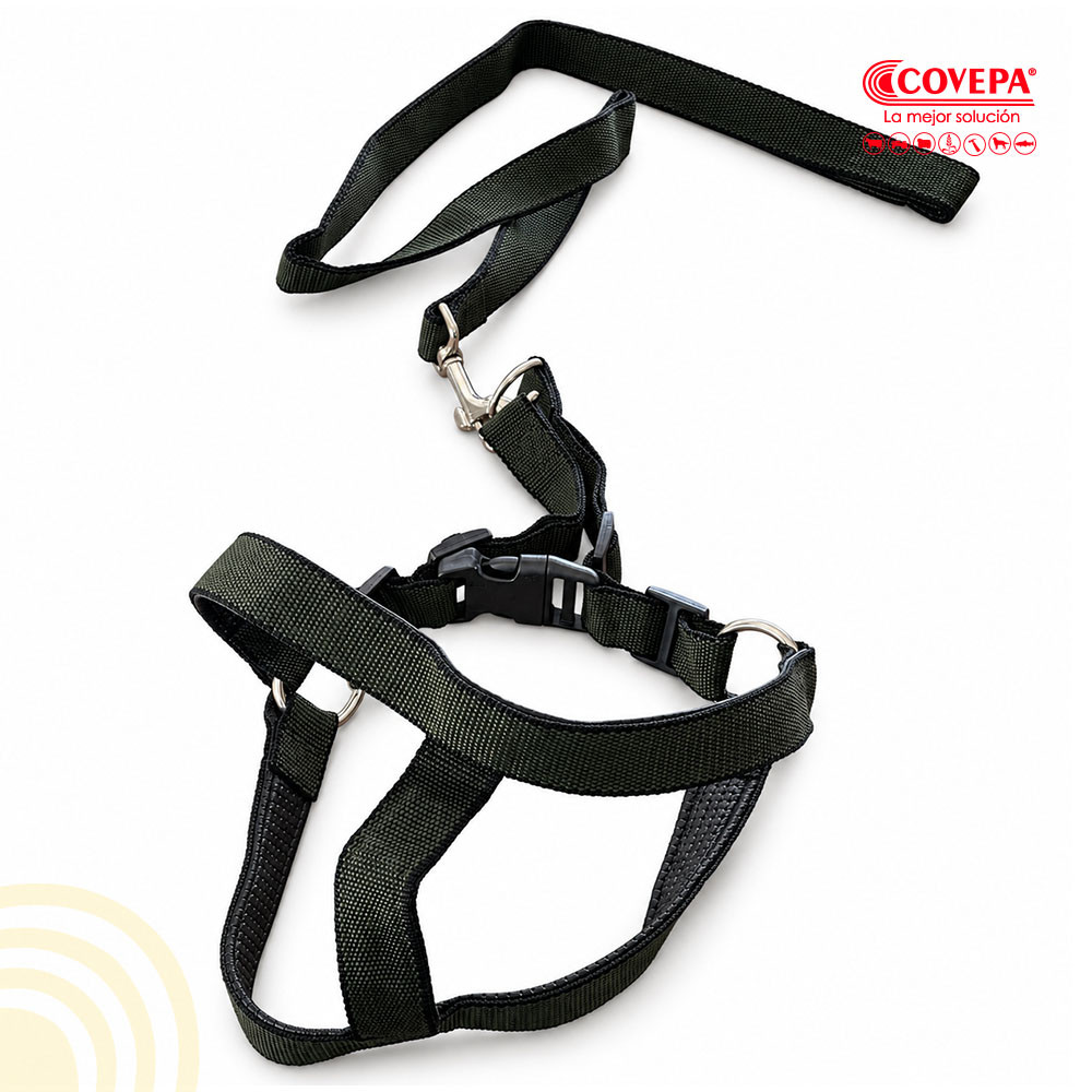 Arnés Acolchado para Perro con Correa 30 mm