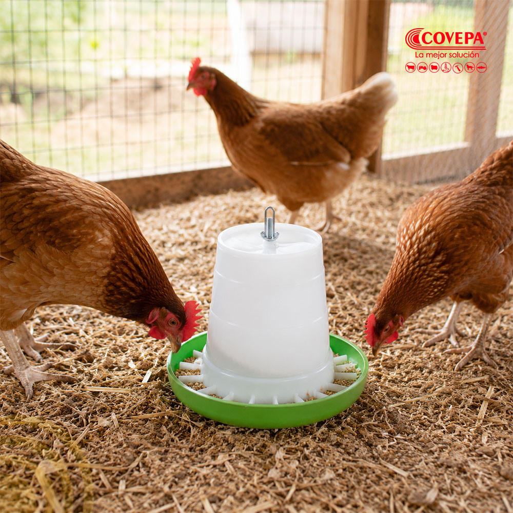 Comedero Plástico Aves 3kg