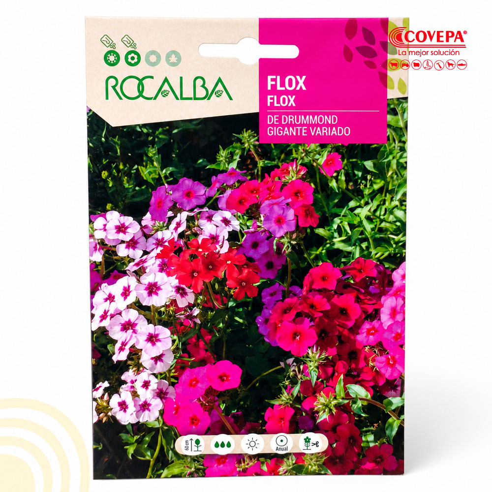 Semilla Flor Flox Drummond Gigante Variado 2g