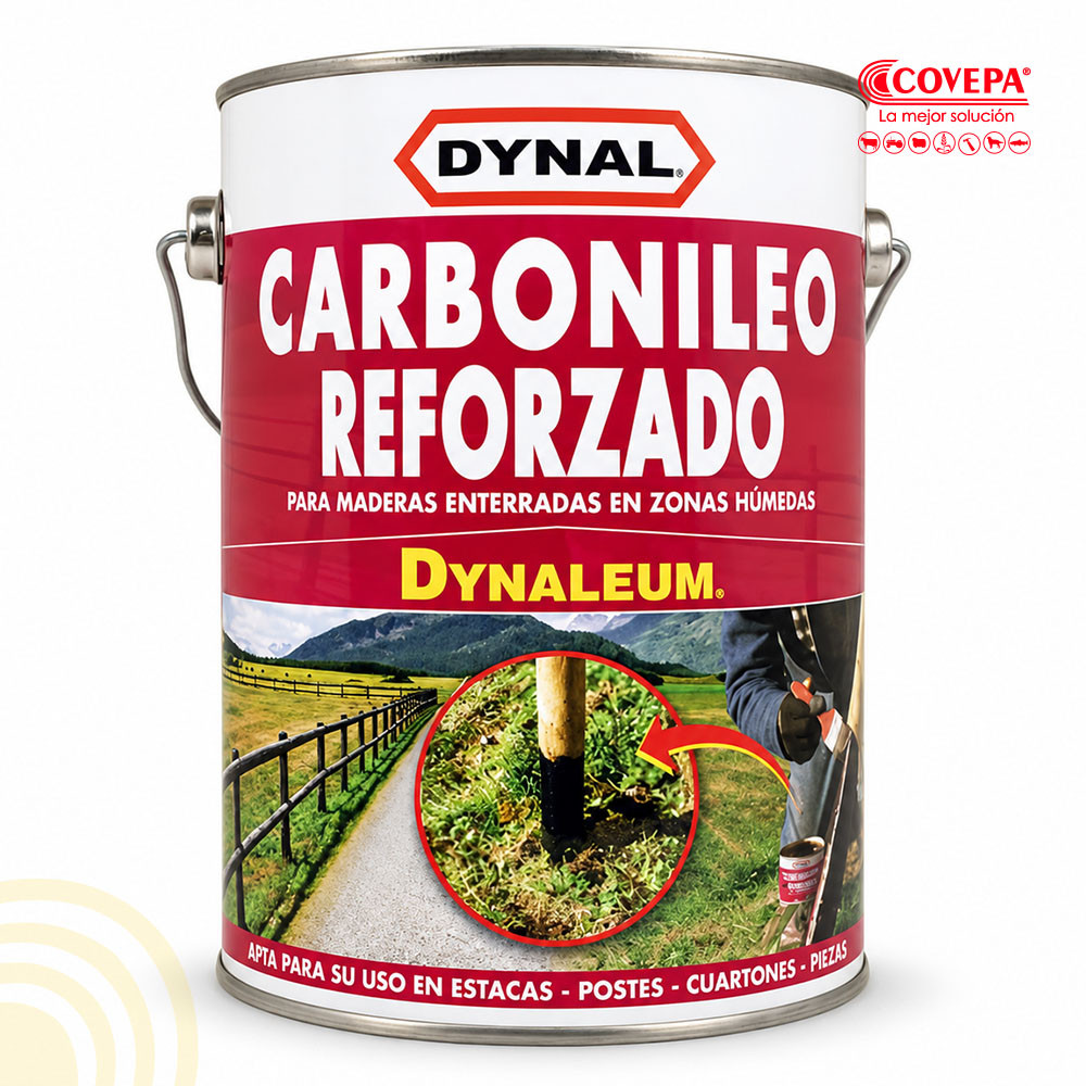 Carbonileo Reforzado 1gl Dynaleum Madera