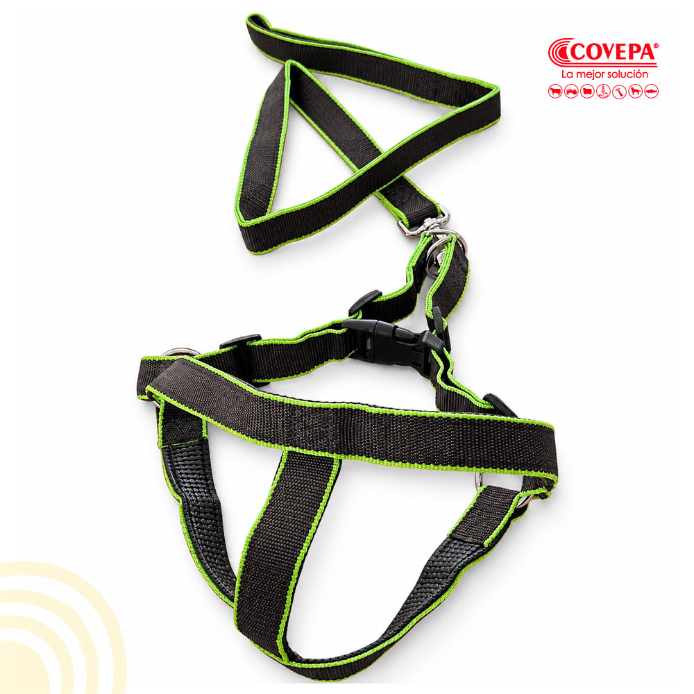 Arnés Acolchado para Perro con Correa 30 mm