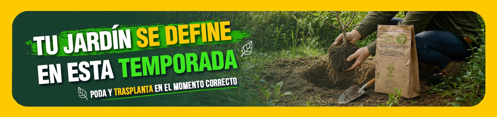 poda_transplante